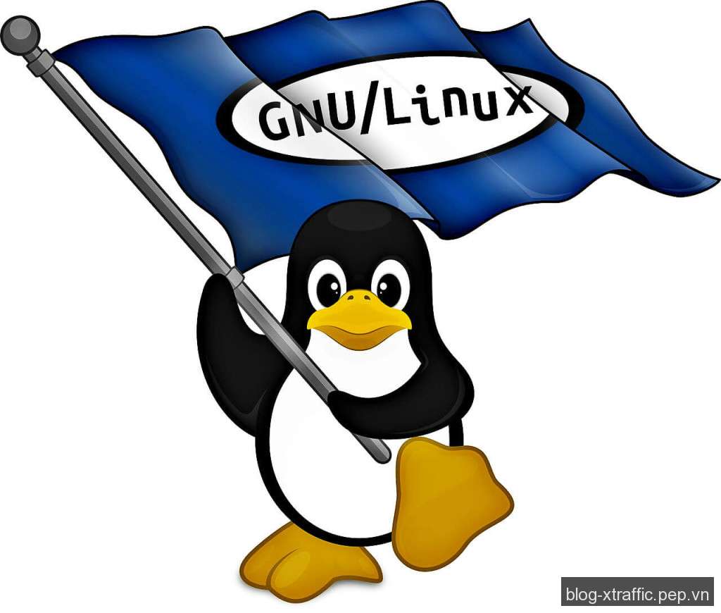 Tự học Linux : Lệnh trợ giúp trong Linux - lệnh help lệnh info lệnh man Linux trợ giúp - Phát triển website