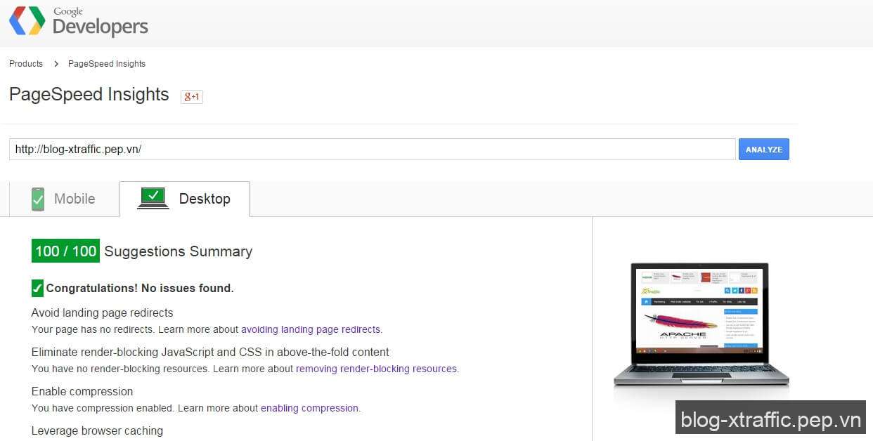 Google PageSpeed Insights Score 100/100
